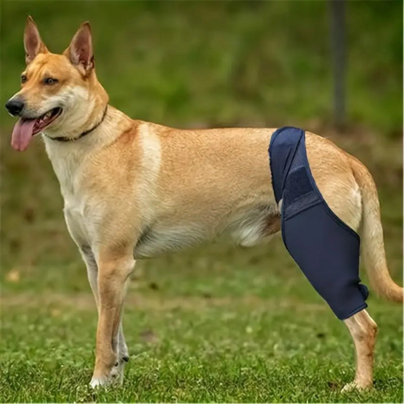 Hinged Knee Brace for Dogs