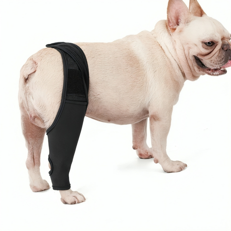 Hinged Knee Brace for Dogs