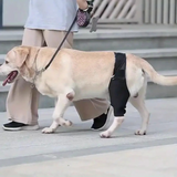 Hinged Knee Brace for Dogs