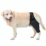 Hinged Knee Brace for Dogs