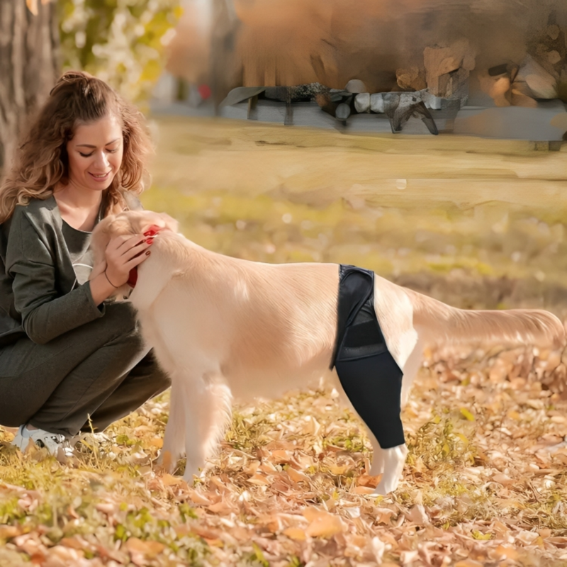 Hinged Knee Brace for Dogs